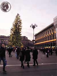 albero-di-Natale-up